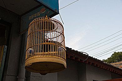 《数码宝贝》实体卡牌游戏将推数字版APP 免费游玩 